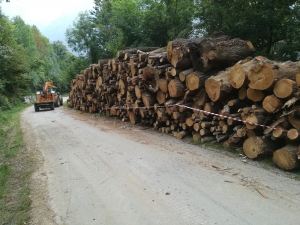 WhatsApp Image 2021-05-27 at 09.42.35 (1).jpeg